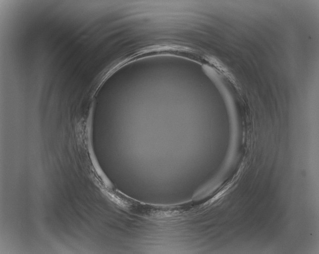 X0000084021369200702161216