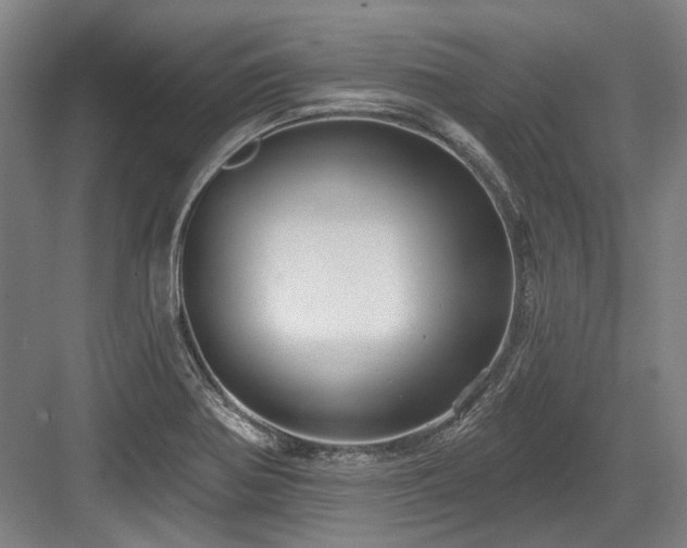 X0000084021370200702161216