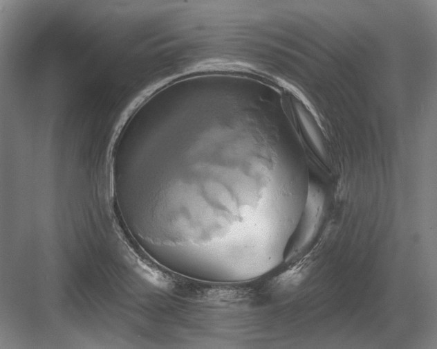 X0000084021371200702161216
