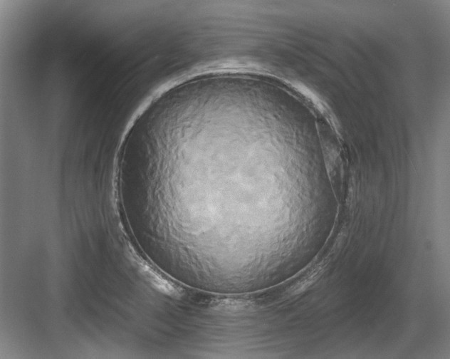 X0000084021374200702161216