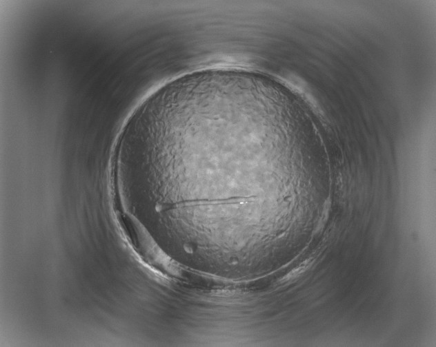 X0000084021375200702161216