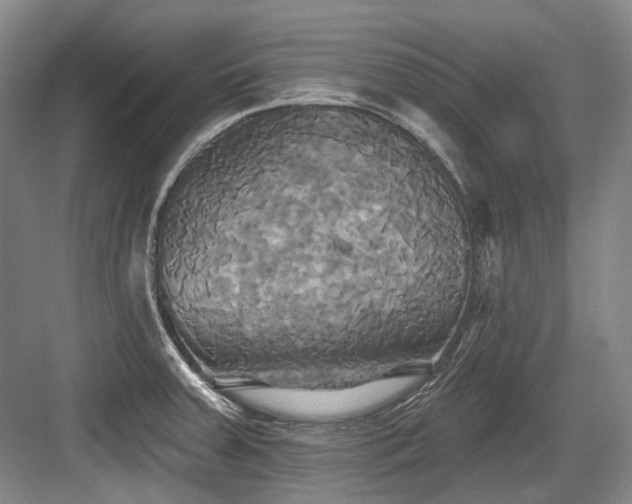 X0000084021379200702161216