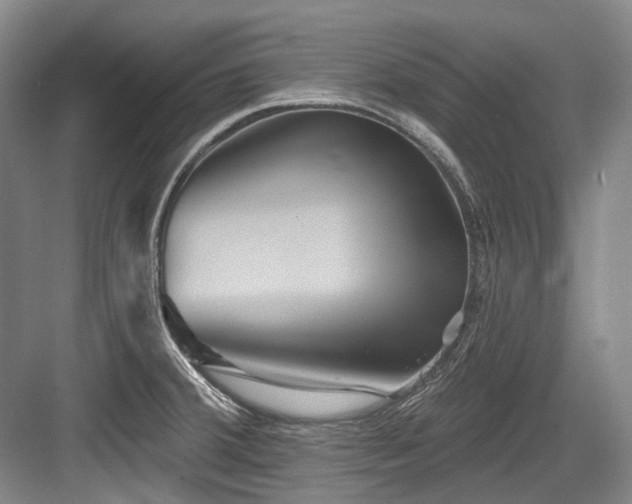X0000084021380200702161216
