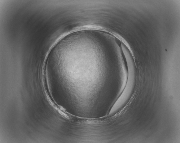 X0000084021381200702161216
