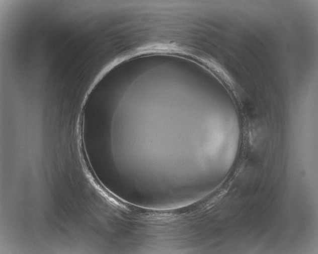 X0000084021382200702161216