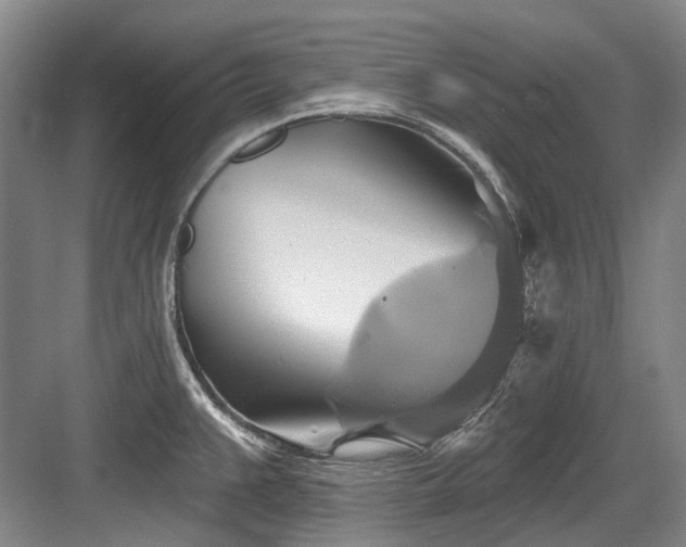 X0000084021383200702161216