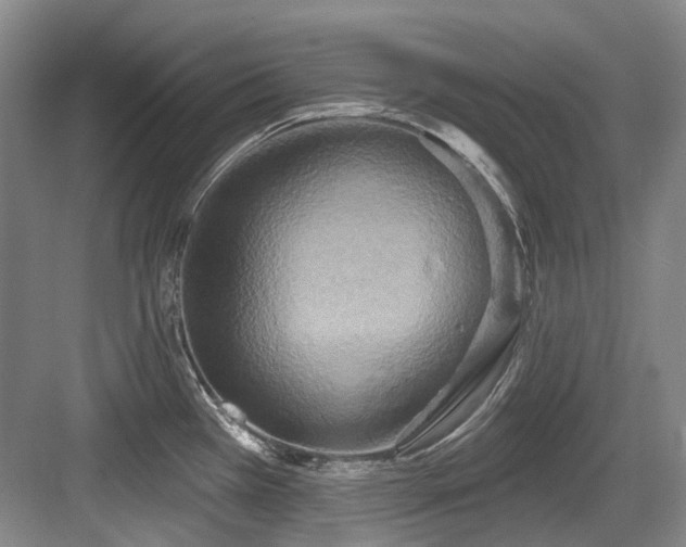 X0000084021385200702161216