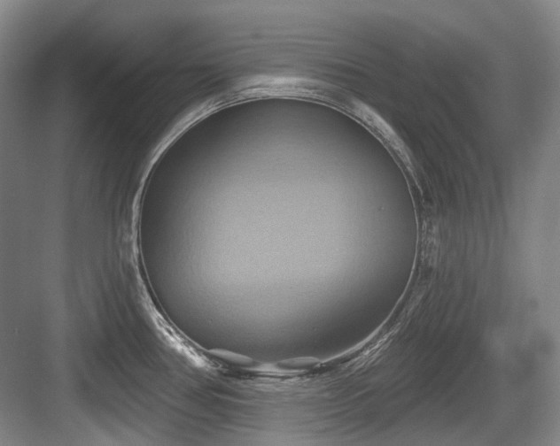 X0000084021386200702161216