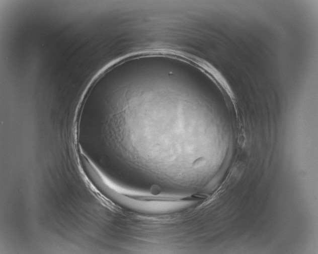 X0000084021388200702161216