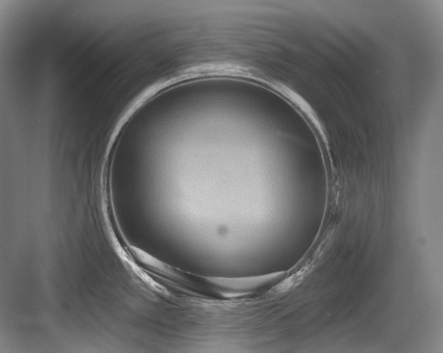 X0000084021389200702161216