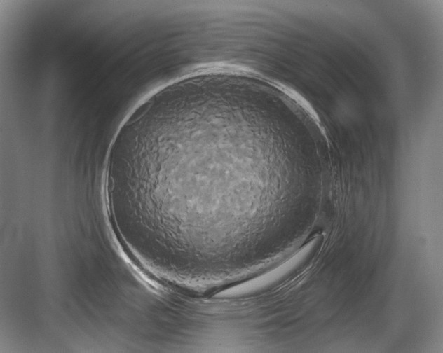 X0000084021391200702161216