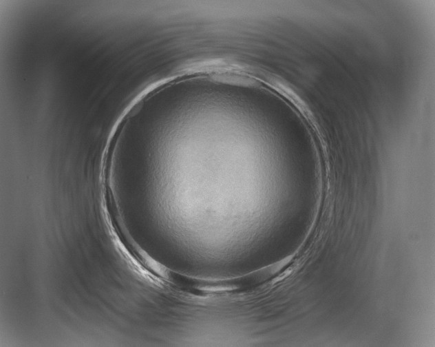 X0000084021392200702161216