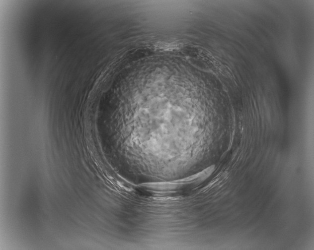 X0000084021393200702161215