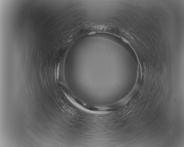 X0000084021394200702161215