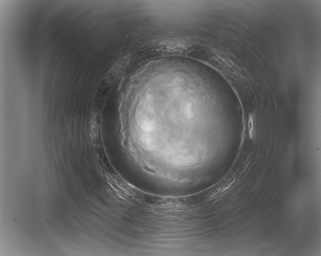 X0000084021395200702161215