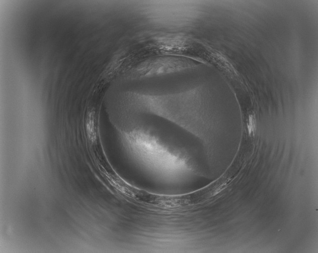 X0000084021396200702161215