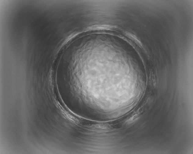 X0000084021404200702161215