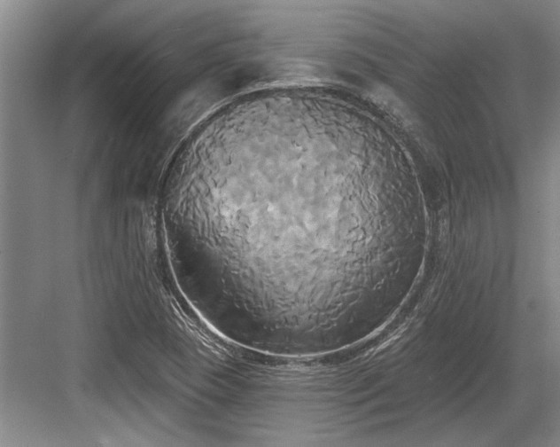 X0000084021409200702161216