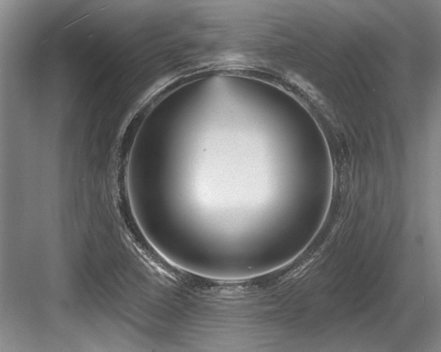 X0000084021410200702161216
