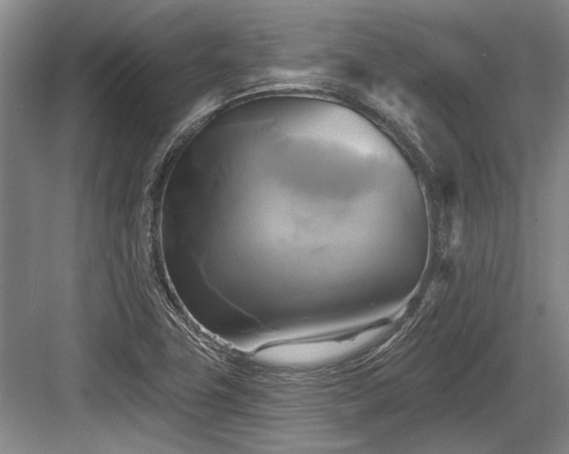 X0000084021411200702161216