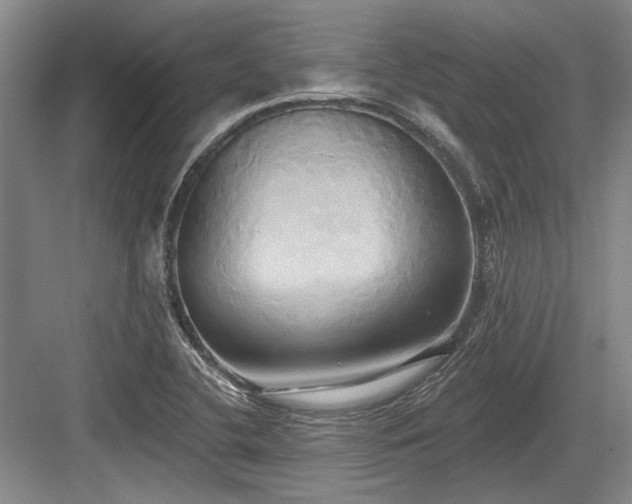 X0000084021412200702161216