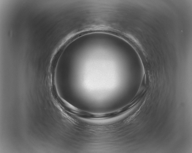 X0000084021414200702161216