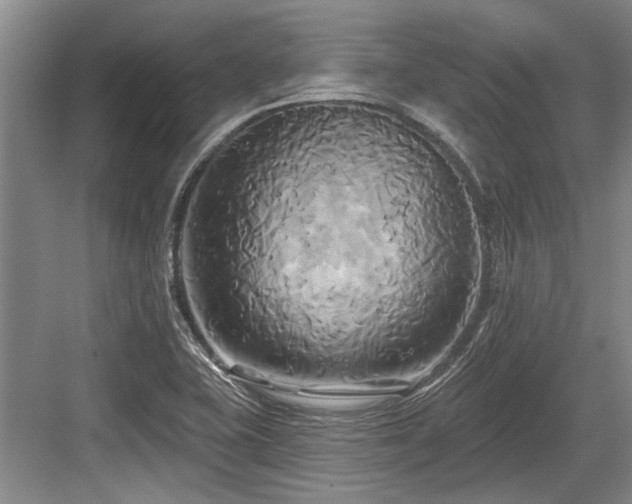 X0000084021415200702161216