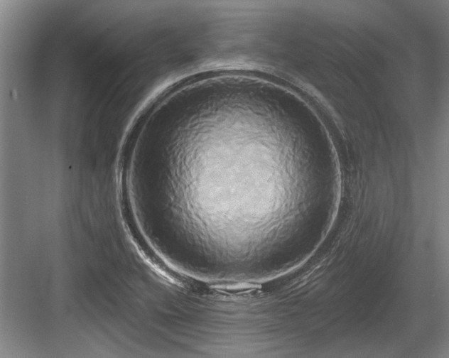 X0000084021416200702161216