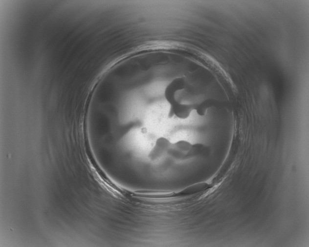 X0000084021417200702161216