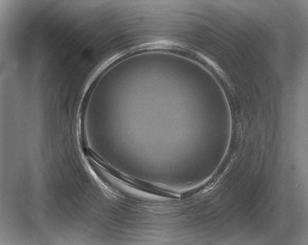 X0000084021418200702161216