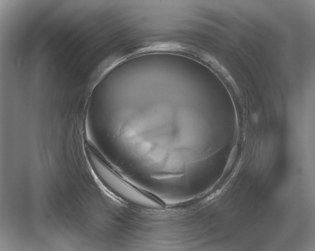 X0000084021425200702161216