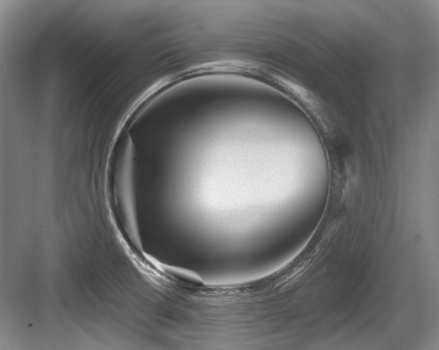 X0000084021426200702161216