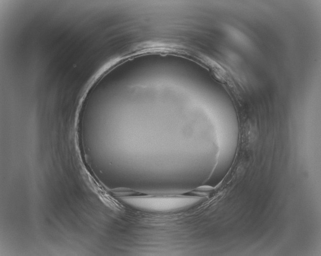 X0000084021427200702161216