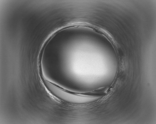 X0000084021430200702161216