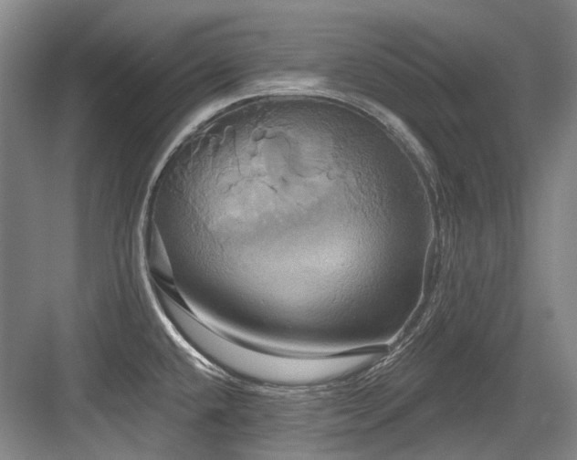 X0000084021432200702161216
