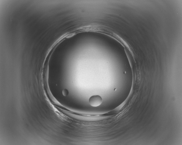 X0000084021434200702161216