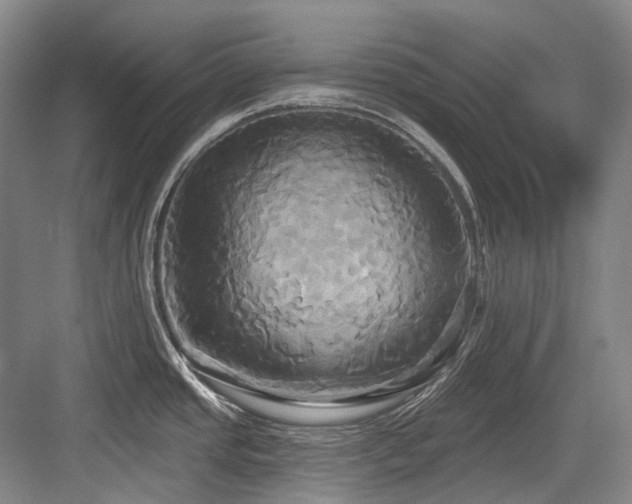 X0000084021437200702161216