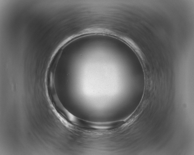 X0000084021438200702161216