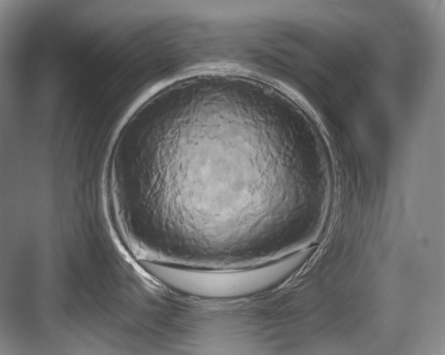 X0000084021440200702161216