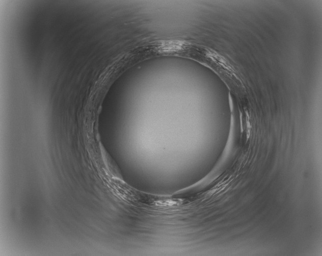 X0000084021441200702161215