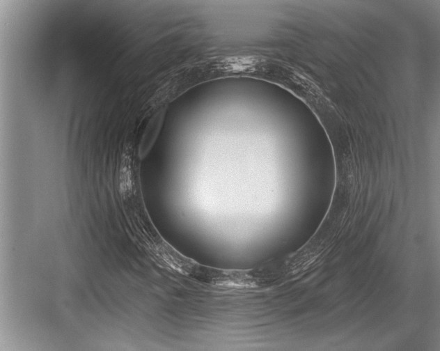 X0000084021442200702161215