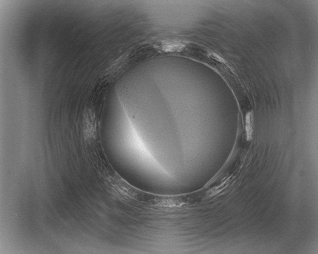 X0000084021443200702161215
