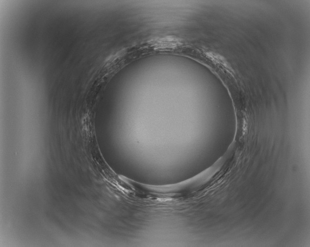 X0000084021445200702161215
