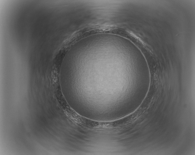 X0000084021447200702161215