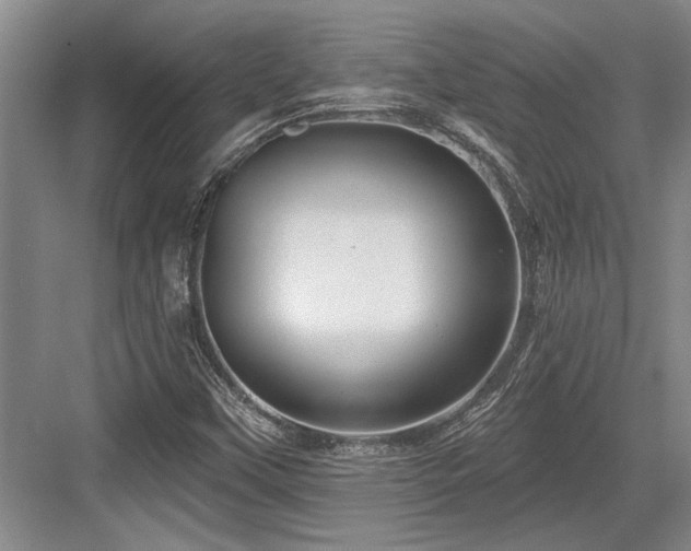 X0000084021451200702161215