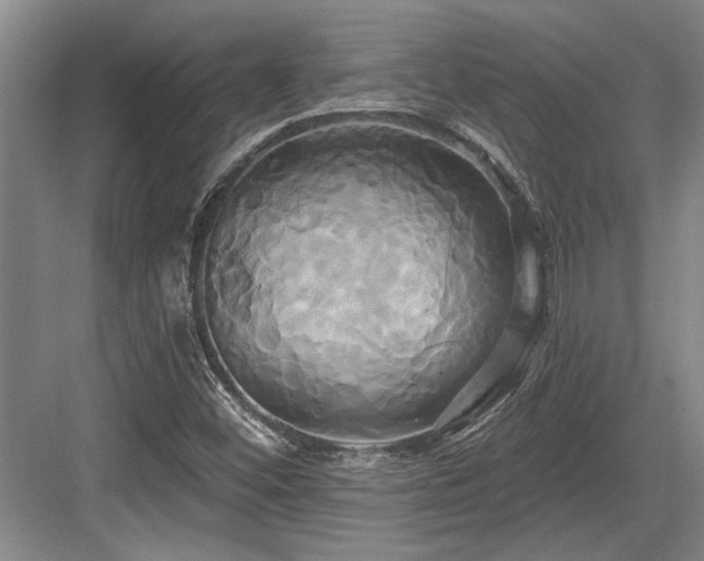 X0000084021452200702161215