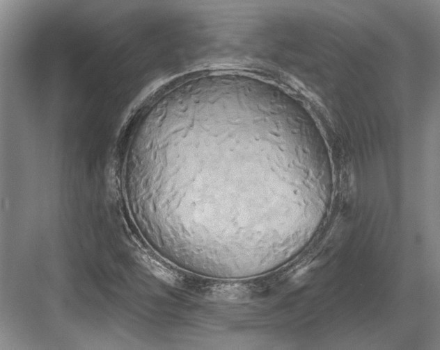 X0000084021454200702161215