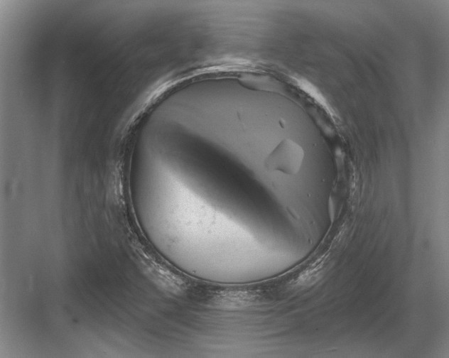 X0000084021455200702161215