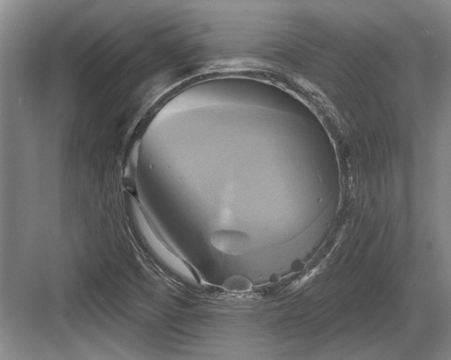 X0000084021457200702161215