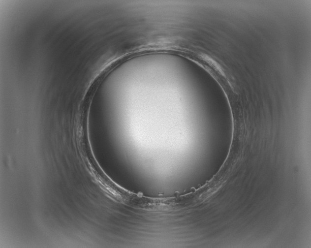 X0000084021458200702161215